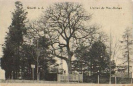 WOERTH.L'arbre De Mac-mahon - Wörth