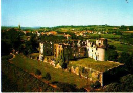 BIDACHE.Les Chateaux Des Ducs De Gramont - Bidache