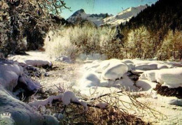 LES CONTAMINES MONTJOIE.Le Torrent Des Neiges - Contamine-sur-Arve