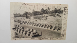 [EGYPT] - 1905 - KARNAK - Avenue Des Sphinx - Sphinx