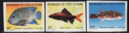 IVORY COAST(1981) Fish. Set Of 3 Imperforates. Scott Nos 578-80. - Côte D'Ivoire (1960-...)