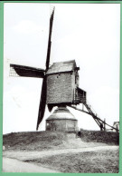 Oelegem - Windmolen - Ranst