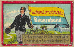 Phillumeny AUSTRIA MATCHBOX BAUERNBUND NIEDEROSTERREICHISCHER FARMERS ASSOCIATION LABEL Extremely Rare  - Matchboxes