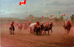 Canada Calgary Chuck Wagon Races At Calgary Stampede - Calgary