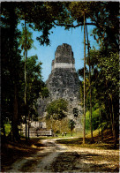 Guatemala Tikal-Peten "Giant Jaguar" Temple - Guatemala