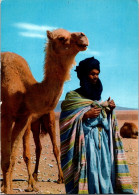 13-9-2023 (1 U 5) North Africa Sahara "Blue" Men (Homme Bleu Du Sahara) - Hommes