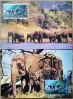1995 CHINA-THAILAND JOINT WILD ELEPHANT MC-22 - Tarjetas – Máxima