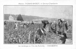 21 - GEVRAY CHAMBERTIN - MAISON THOMAS-BASSOT - VENDANDES Au CLOS Des ROUCHOTTES - CARTE état - Gevrey Chambertin