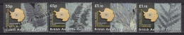 British Antarctic Territory - Antartique Britannique 2008 Yvert 472- 75, Flora, Fossil Ferns - MNH - Ongebruikt