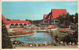 BELGIQUE - Adinkerke -  Meli Park - Colorisé - Carte Postale Ancienne - De Panne