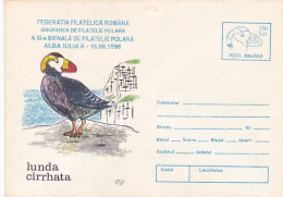 ANIMALS, BIRDS, TUFTED PUFFIN, COVER STATIONERY, 1996, ROMANIA - Albatros & Stormvogels