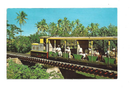 FIJI - FREE TRAIN - Fidji