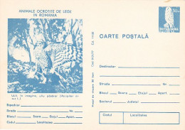 ANIMALS, BIRDS, EURASIAN SPARROWHAWK, KESTREL, POSTCARD STATIONERY, 1977, ROMANIA - Aigles & Rapaces Diurnes