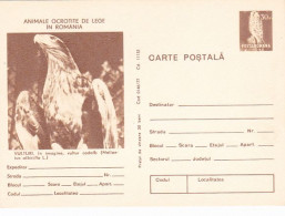 ANIMALS, BIRDS, WHITE TAILED EAGLE, KESTREL, POSTCARD STATIONERY, 1977, ROMANIA - Aigles & Rapaces Diurnes