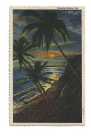 FIJI - EVENING SHADES - Figi