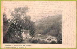 Ad5617 - SWITZERLAND Schweitz - Ansichtskarten VINTAGE POSTCARD - Sihlwald -1904 - Wald