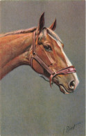 ANIMAUX & FAUNE - Cheval - Colorisé - Carte Postale Ancienne - Paarden