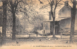 Champtoceaux           49         Le Chemin Creux Du Port  N° 19    (voir Scan) - Champtoceaux