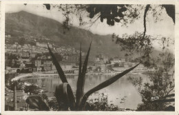 MONACO - LE PORT D'HERCULE ET MONTE CARLO - COLLECTION "LA COTE D'AZUR" - ED. RELLA REF #581 - 1939 - Haven