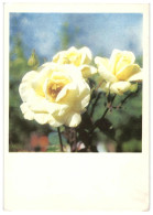 Yellow Roses, Soviet Russia USSR 1968 3Kop Stamped Stationery Card Postcard Unused - 1960-69