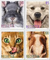 601415 MNH SUIZA 2019 ANIMALES - Ungebraucht