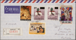 Papua New Guinea: 1995 Birds 90t Surcharged "21t" (fat Overprint) With Date "199 - Papoea-Nieuw-Guinea