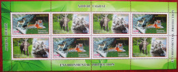 Tajikistan  2021  Environment Protection . Tiget, Elephant  M/S  MNH - Tajikistan