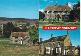 SCENES FROM GOATHLAND, NORTH YORKSHIRE, ENGLAND. UNUSED POSTCARD   Zf6 - Whitby