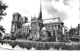 PARIS  Notre Dame - Notre Dame De Paris