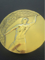 Médaille De Table/Rétiaire Avec Filet Et Trident Combattant Un Aigle/Bronze Avec Poinçon/Date Indéterminé       MED472 - Frankreich