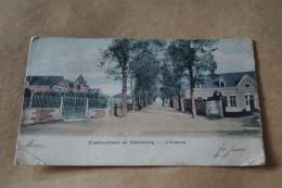 Belle Carte  Ancienne, CARLSBOURG,l'avenue, 1898 - Autres & Non Classés