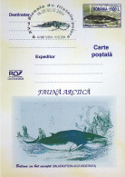 NORTH POLE, ARCTIC WILDLIFE, WHALES, PC STATIONERY, ENTIER POSTAL, 2003, ROMANIA - Fauna ártica