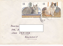 DOMESTIC CATS, STAMPS ON COVER, 1993, BELGIUM - Lettres & Documents