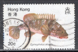 Hong Kong 1981 A Single Stamp From The Set To Celebrate Fish In Fine Used - Gebraucht