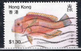 Hong Kong 1981 A Single Stamp From The Set To Celebrate Fish In Fine Used - Used Stamps