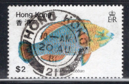 Hong Kong 1981 A Single Stamp From The Set To Celebrate Fish In Fine Used - Used Stamps