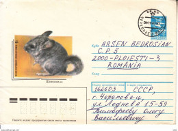 RUSSIA USSR 1988: CHINCHILA, Used Prepaid Postal Stationery Cover Item N° #1218978118 - Registered Shipping! - Usati