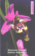 Greece:Used Phonecard, OTE, 100 Units, Ophrys Heldreichii, Flower, 1999 - Flowers