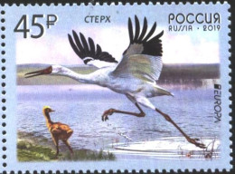 Mint Stamp  Europa CEPT Bird  2019 From  Russia - 2013