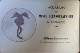 Pochette De 10 CP : Aquarium Du Musée Océanographique De MONACO (Barba Et Trabut) - Museo Oceanográfico