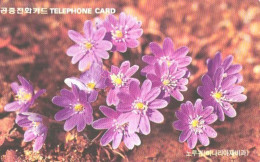 South Korea:Used Phonecard, Korea Telecom, 2000 Units, Flowers - Bloemen