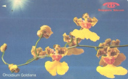 Singapur:Used Phonecard, Singapore Telecom, 20$, Flowers, Oncidium Goldiana - Blumen