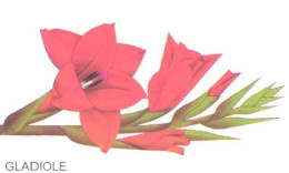 Germany:Used Phonecard, T, 12 DEM, Flower, Gladiolus, 1998 - Blumen