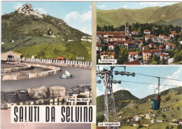 CARTOLINE SALUTI DA...- SELVINO - Souvenir De...