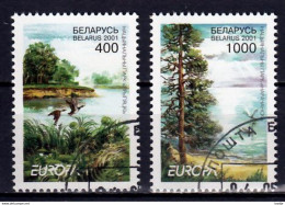 Belarus  Europa Cept 2001  Gestempeld - 2001