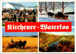 Canada Ontario Waterloo Mennonite Lifestyles Hay Making Sleigh Riding And More - Kitchener