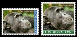 SIERRA LEONE SET 2V 2023 - APE APES MONKEY MONKEYS SINGE SINGES CHIMPANZEE CHIMPANZE CHIMPANZEES CHIMPANZES - MNH - Chimpancés