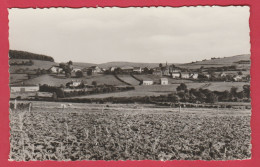 Lesterny ... Panorama Du Village -1 ( Voir Verso ) - Nassogne