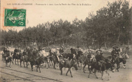 FRANCE - Sables D'Olonne - Promenade à ânes Dans La Forêt Des Pins De La Rudelière -  Carte Postale Ancienne - Sables D'Olonne