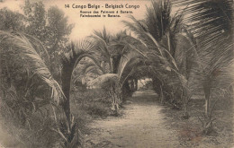 CONGO KINSHASA - Congo Belge - Avenue Des Palmiers à Banana - Carte Postale Ancienne - Belgisch-Congo